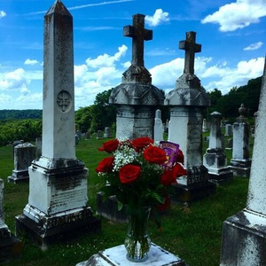 污污的视频网站大全下载
