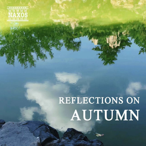 污污的视频网站大全下载
