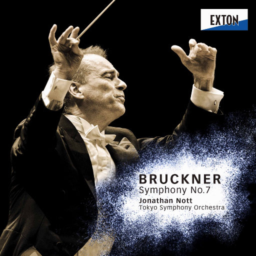 污污的视频网站大全下载
